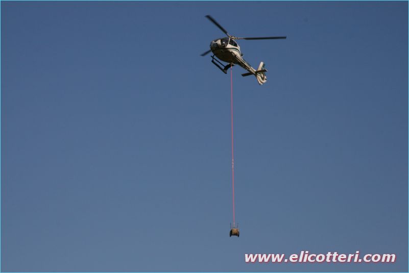 elifoto (155)